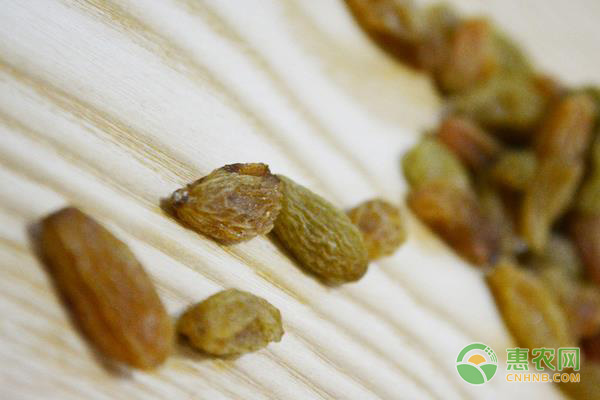 葡萄干烘焙技术规范