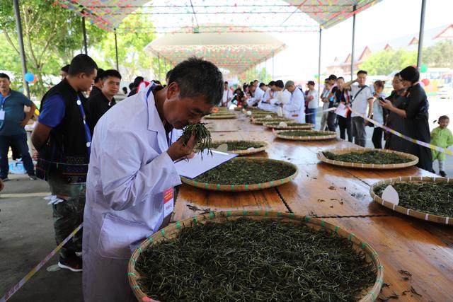 竹编茶叶烘焙技术培训中心——传承与创新的烘焙之旅