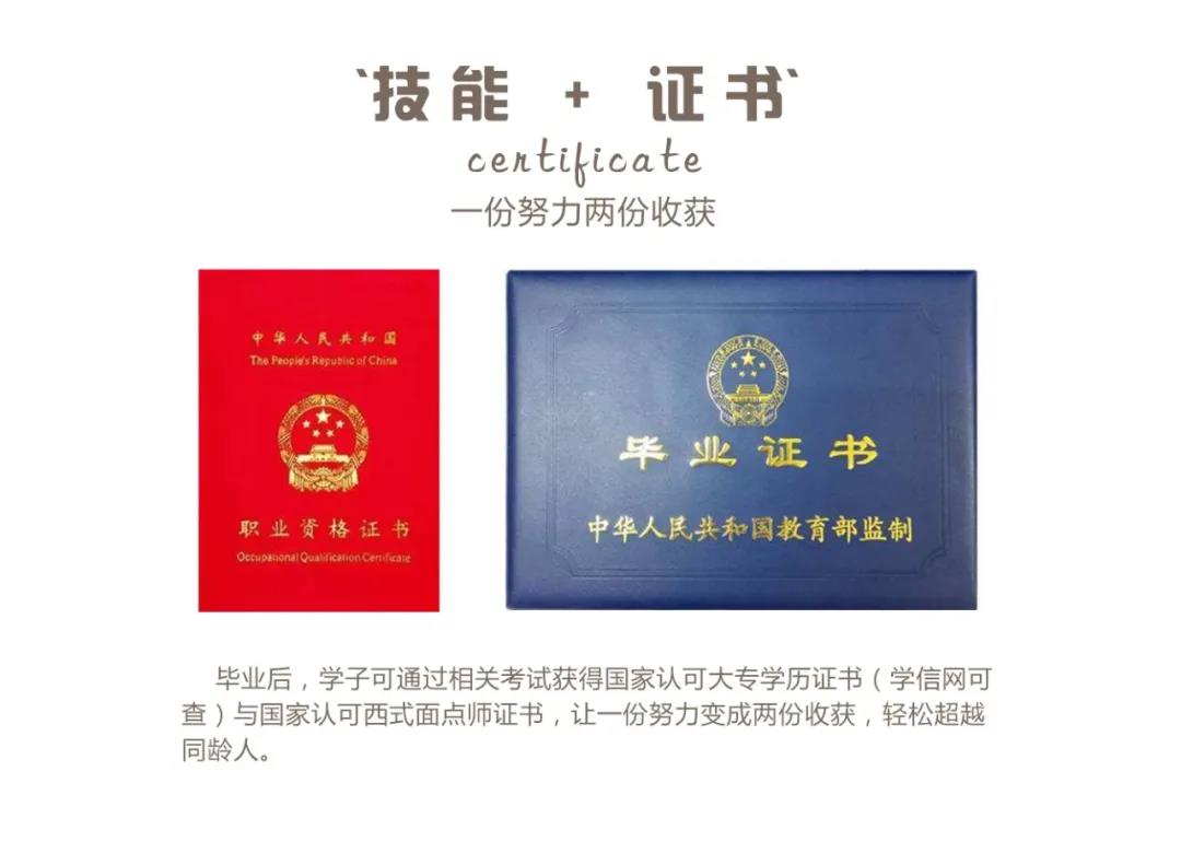 烘焙的技术证书分类