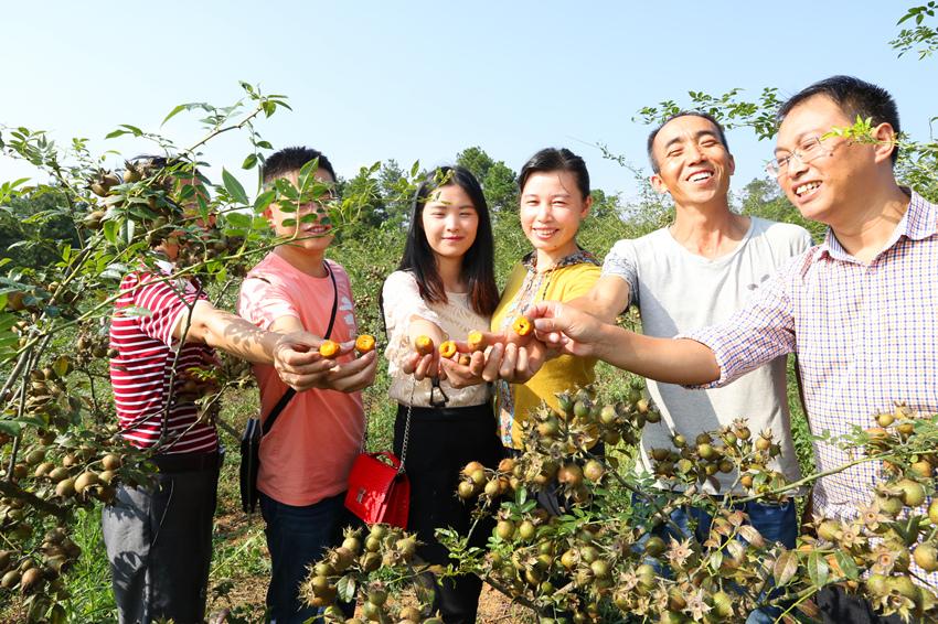 鲜果茶奶茶培训，掌握制茶技巧，开启创业之旅