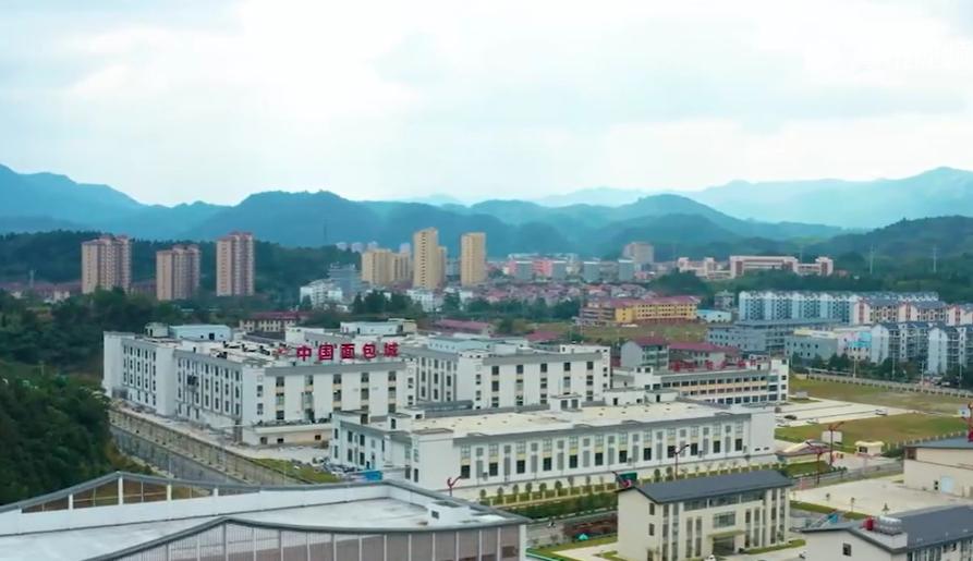 资溪烘焙蛋糕培训学校地址