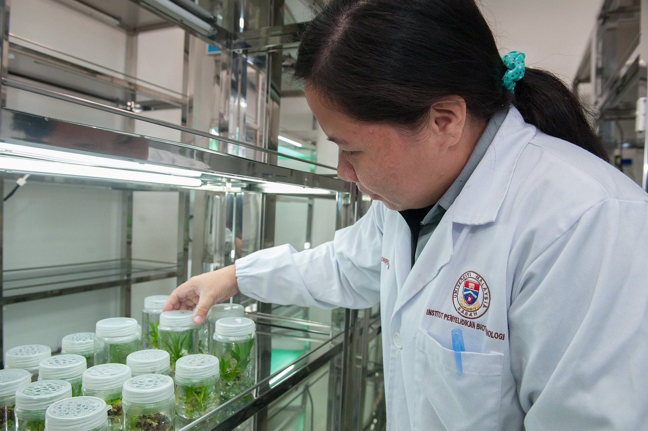 大连高级烘焙学校，培养烘焙精英的摇篮